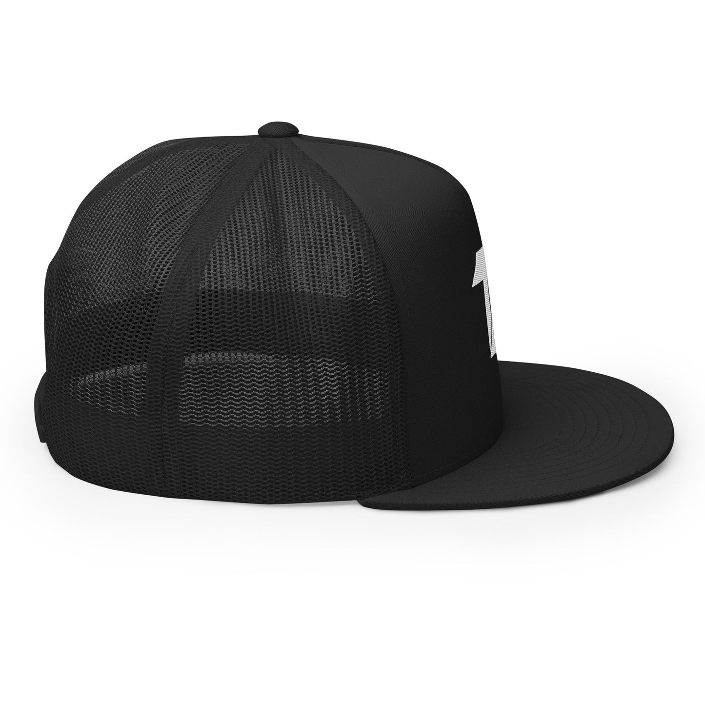 TX LOGO CAP BLACK/WHITE LOGO