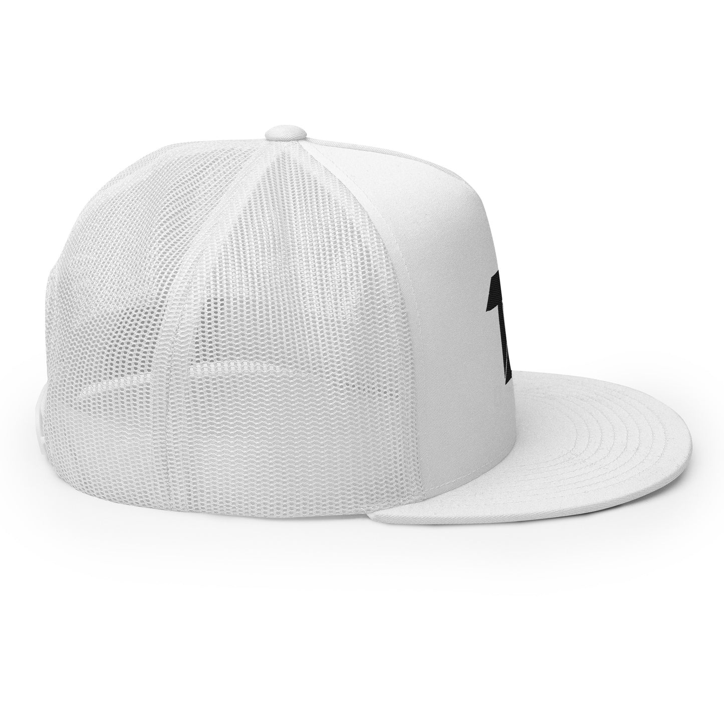 TX LOGO CAP WHITE/BLACK LOGO